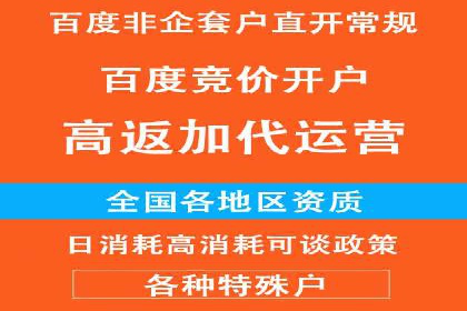 百度推广代理商的客户案例：从零到一的突破