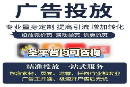 案例研究：百度推广托管助力电商品牌快速崛起